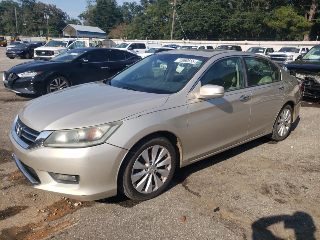 HONDA ACCORD EXL