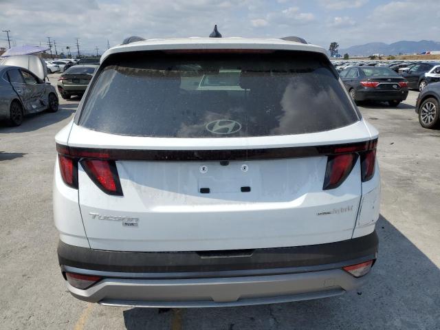 2025 HYUNDAI TUCSON BLU - KM8JBDD15SU306949