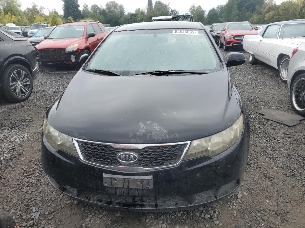 KIA FORTE EX