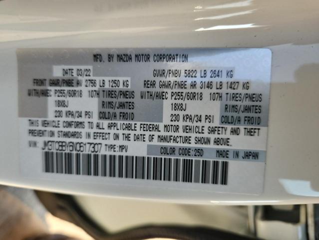 2022 MAZDA CX-9 SPORT JM3TCBBY6N0617307