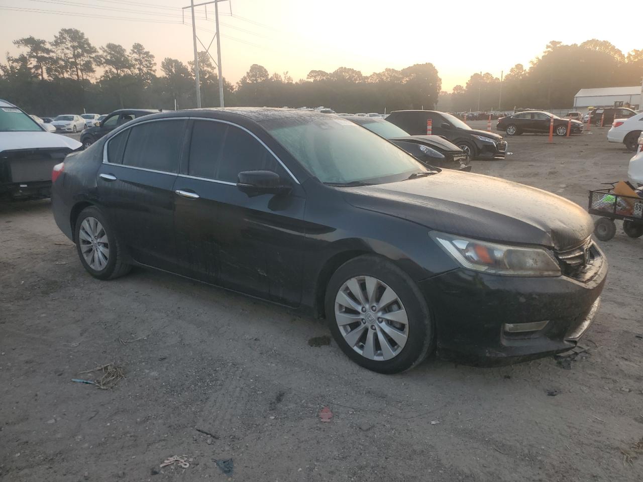 HONDA ACCORD EXL