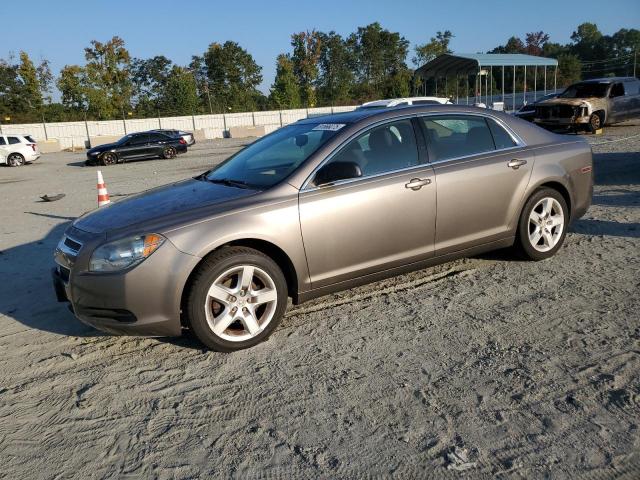 2011 CHEVROLET MALIBU LS - 1G1ZB5E10BF177785