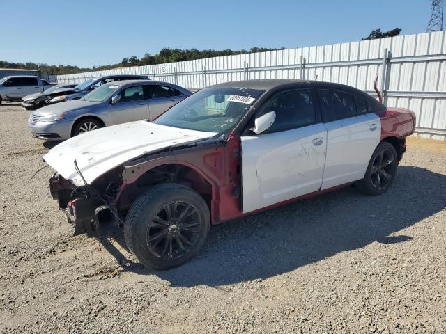 Global Auto Auctions: 2013 DODGE CHARGER SXT