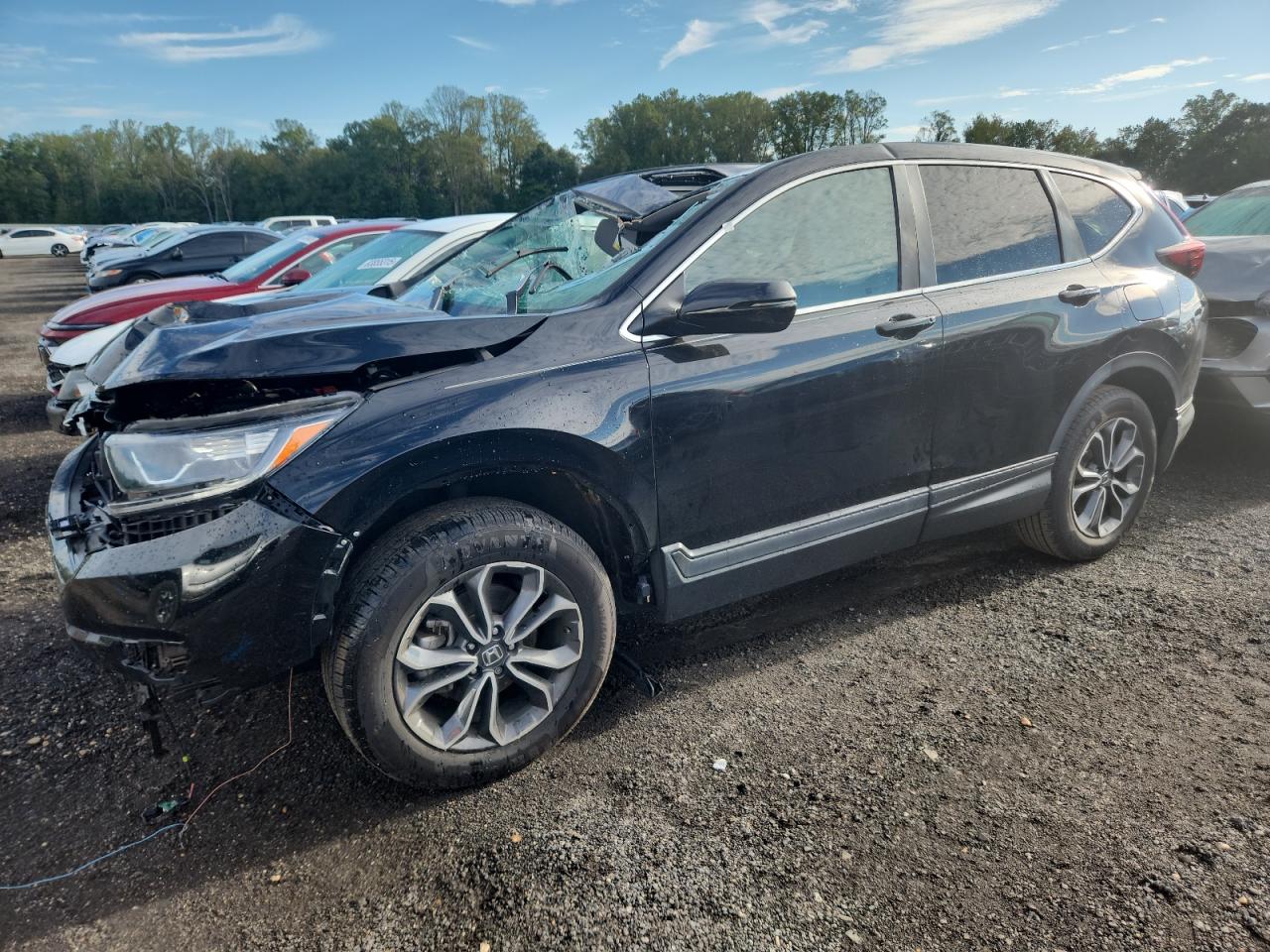HONDA CR-V EX