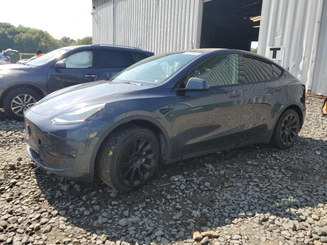 Global Auto Auctions: 2021 TESLA MODEL Y