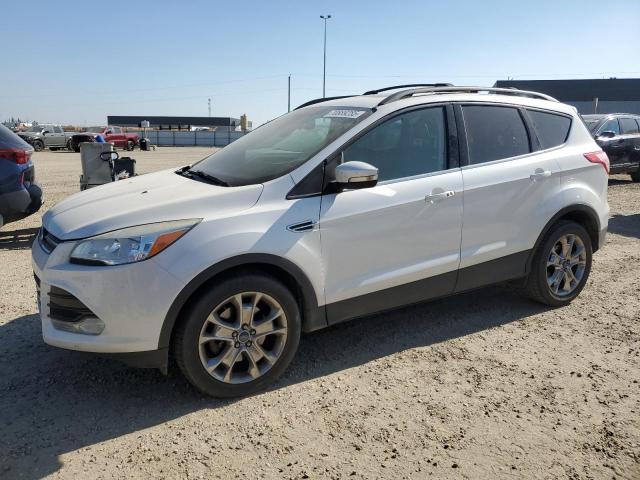 Global Auto Auctions: 2013 FORD ESCAPE SEL