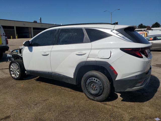 2025 HYUNDAI TUCSON SEL - 5NMJBCDE9SH503468