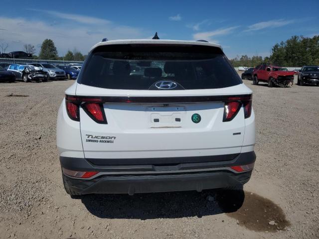 2024 HYUNDAI TUCSON SEL - 5NMJBCDE8RH324994