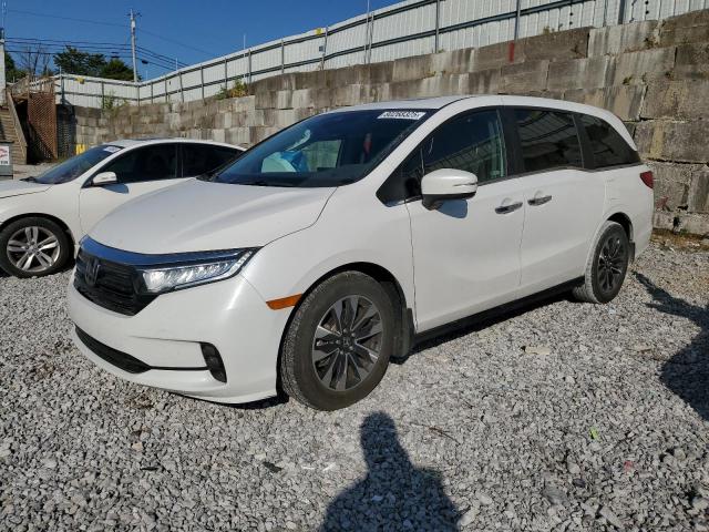 Global Auto Auctions: 2024 HONDA ODYSSEY EXL