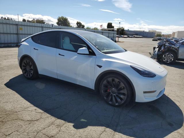 2023 TESLA MODEL Y 7SAYGDEF4PF882291
