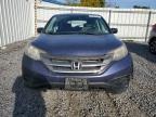 Lot #3305356337 2012 HONDA CR-V LX