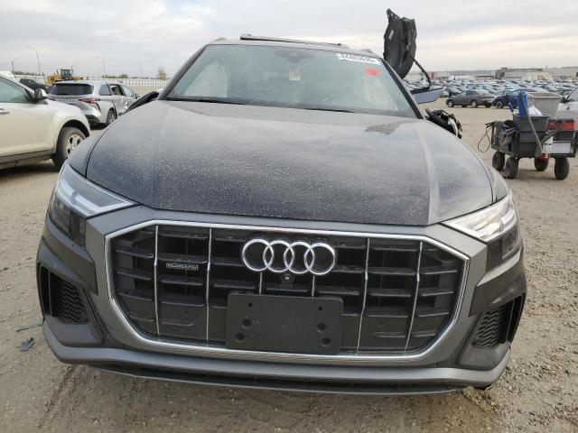 2019 AUDI Q8 PROGRES - WA1DVAF17KD013794