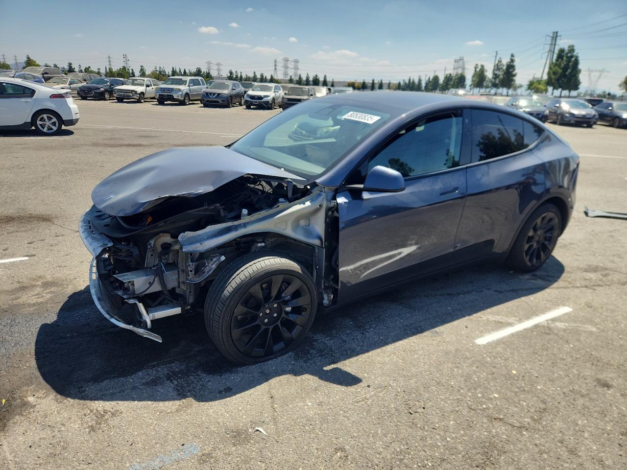 Lot #3310704732 2022 TESLA MODEL Y