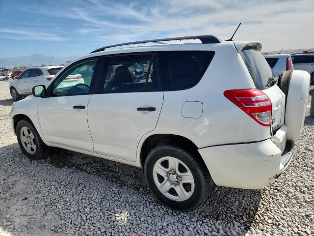 2010 TOYOTA RAV4 - 2T3BF4DV9AW038134