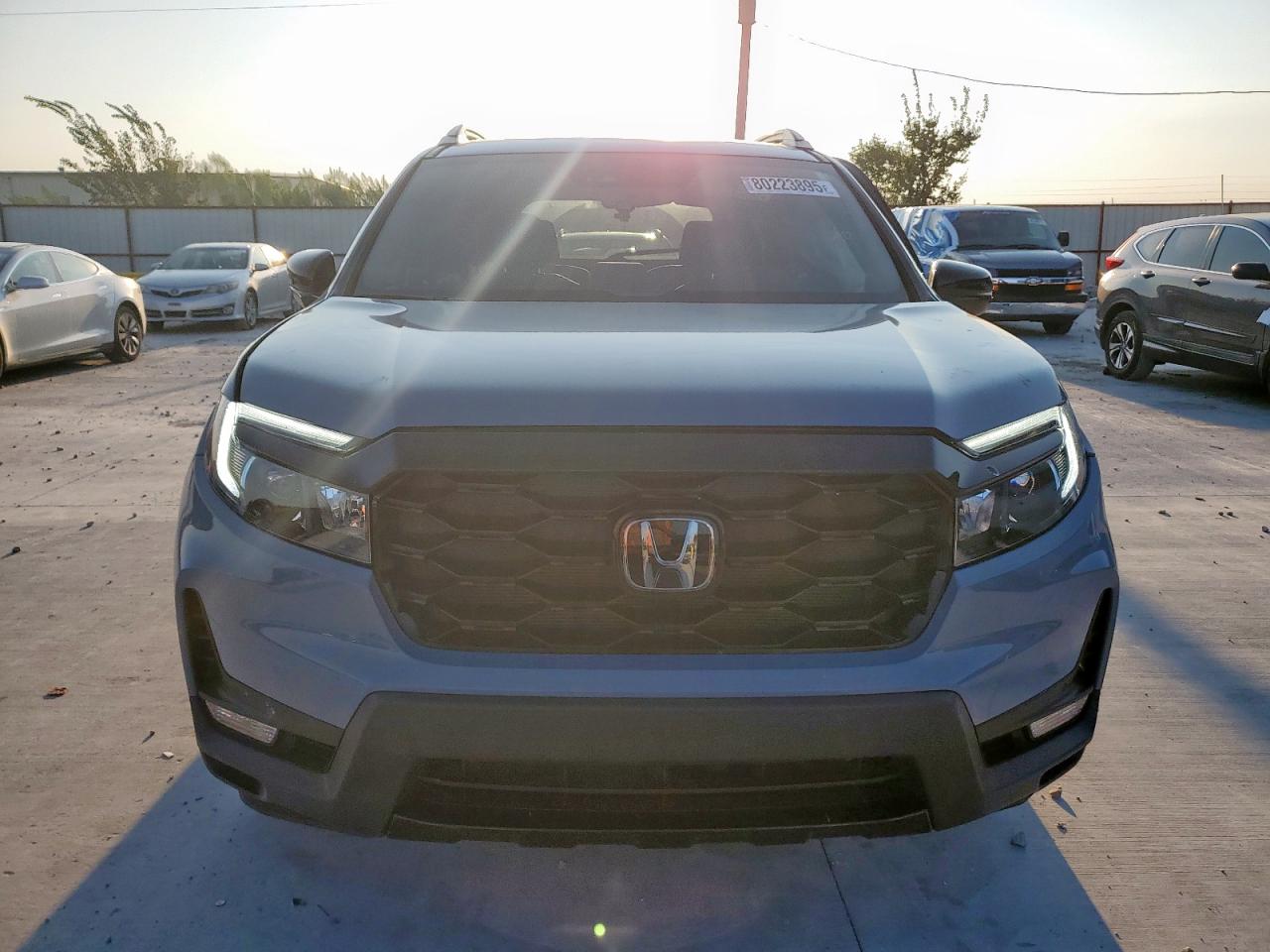 HONDA PASSPORT ELITE