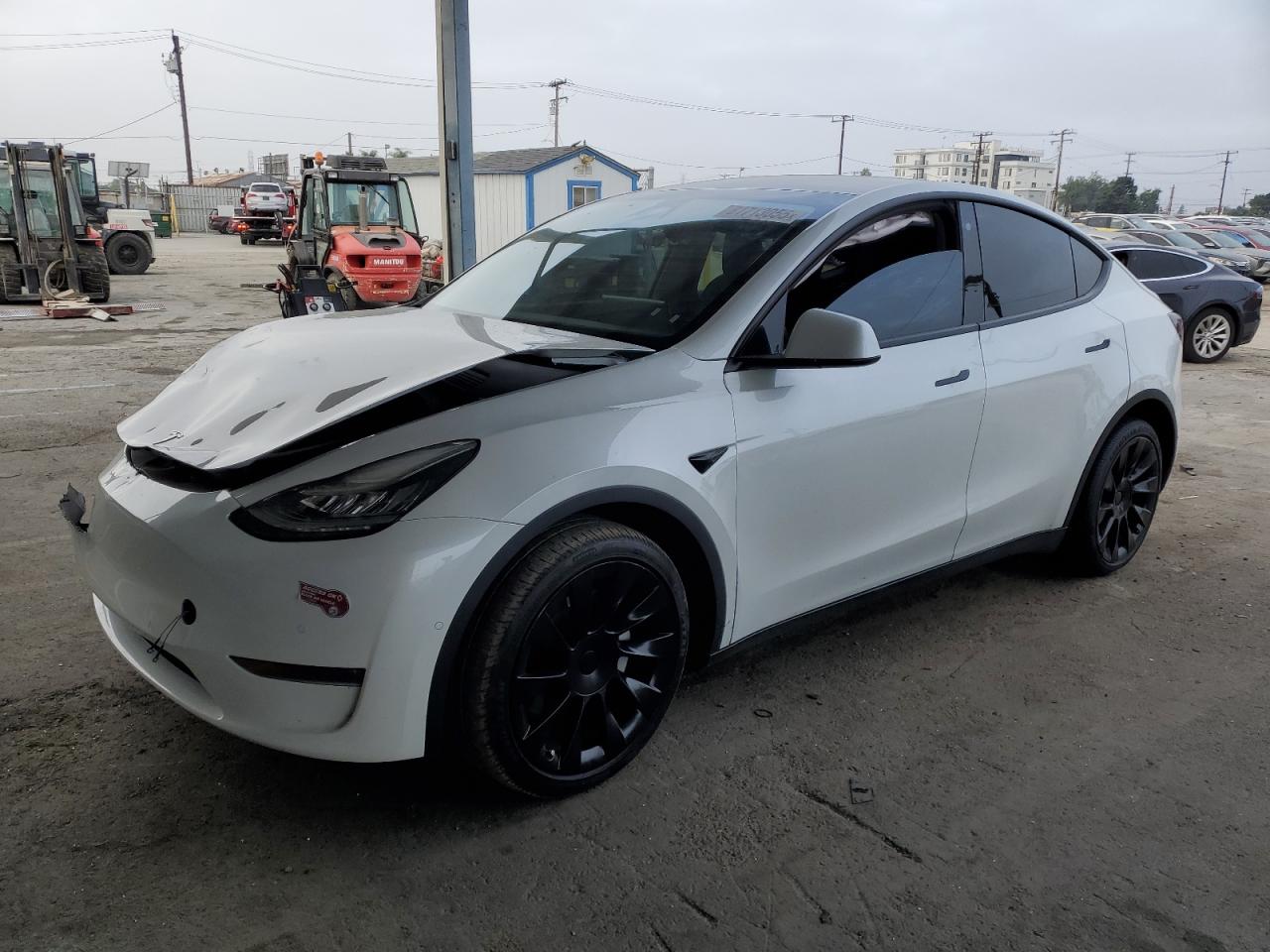 TESLA MODEL Y
