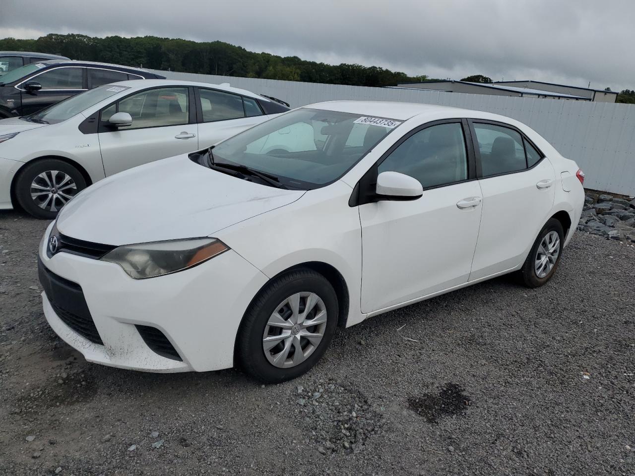 TOYOTA COROLLA L
