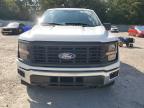Lot #3294379109 2024 FORD F150 XL