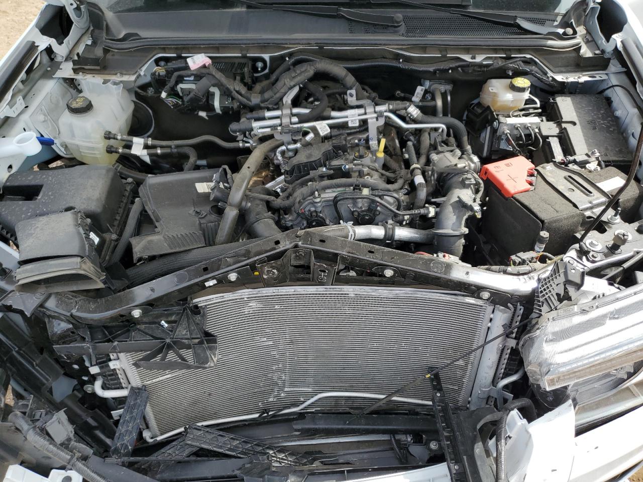 Lot #3316752409 2025 FORD RANGER XL