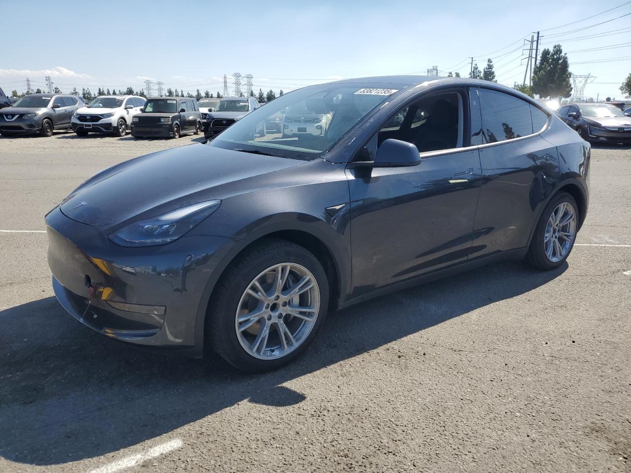 Lot #3298241025 2024 TESLA MODEL Y