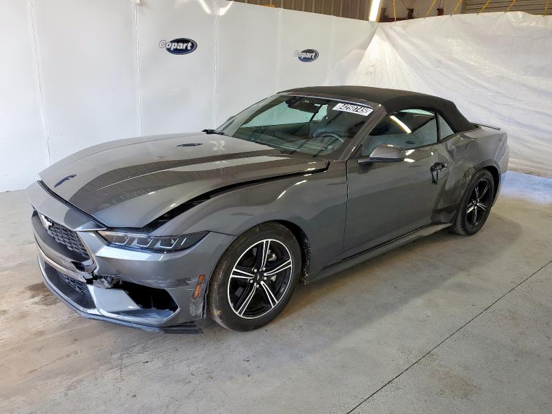 Global Auto Auctions: 2025 FORD MUSTANG