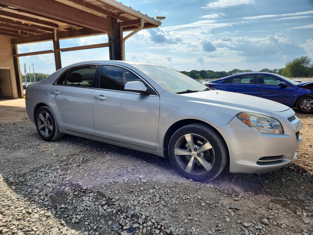 CHEVROLET MALIBU 1LT