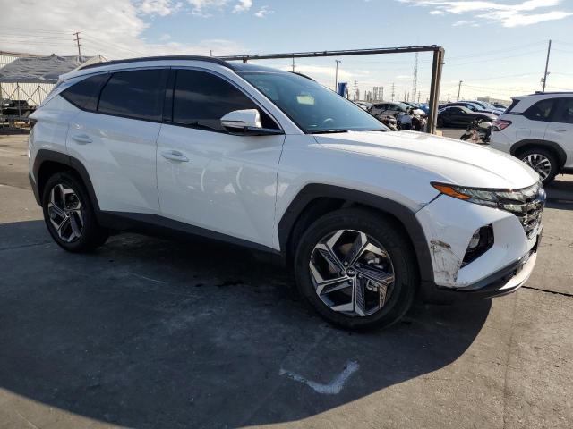 2024 HYUNDAI TUCSON LIM - KM8JECD13RU229221