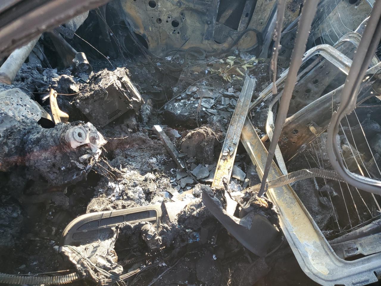 Global Auto Auctions