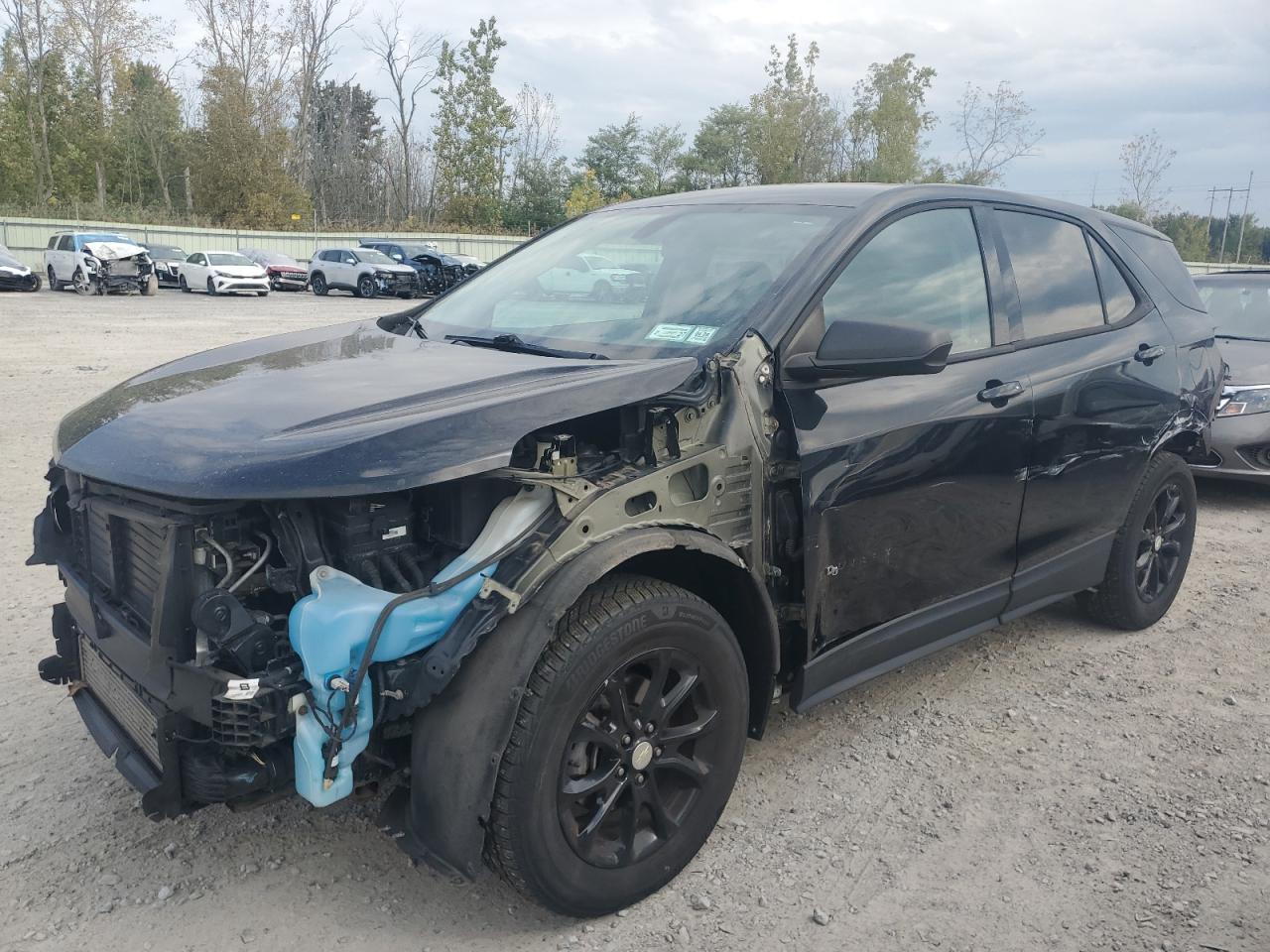 Lot #3281248036 2019 CHEVROLET EQUINOX LS