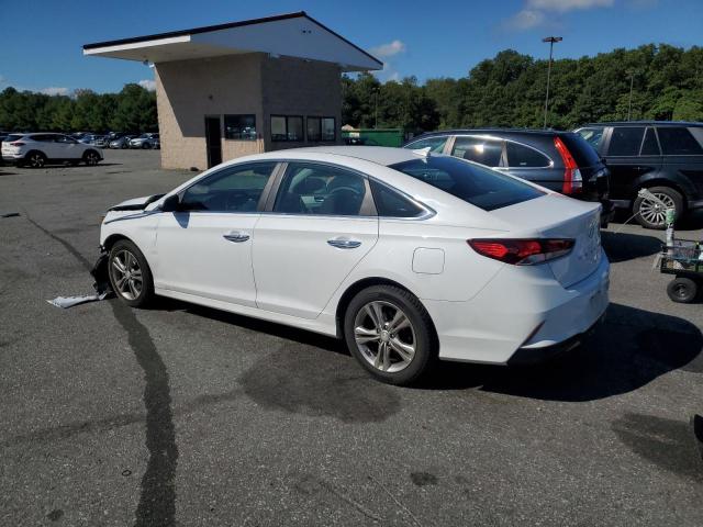 2019 HYUNDAI SONATA LIMITED 5NPE34AF1KH736457