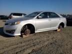 Top Destinations for Shipping Cars from the USA