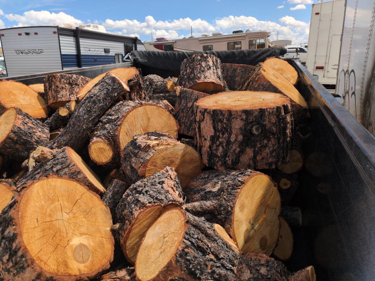 Lot #3277025165 2022 TEXAS PRIDE UNKNOWN