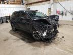 Lot #3304267937 2025 HYUNDAI TUCSON SEL