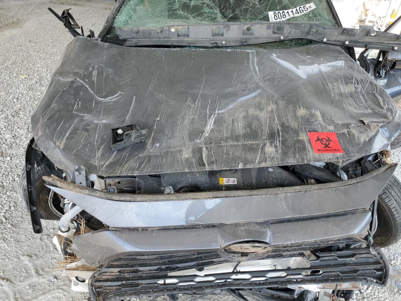 Lot #3302698000 2024 TOYOTA RAV4 XLE