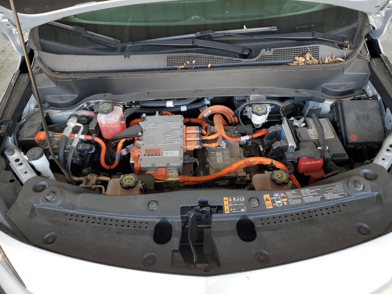 CHEVROLET BOLT EUV LT