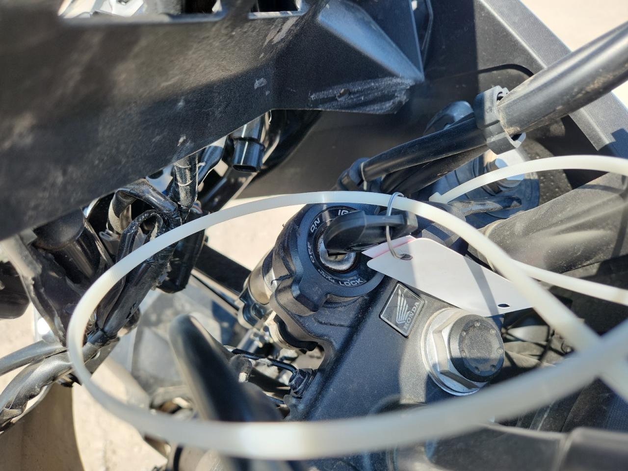 Lot #3296436635 2024 HONDA XL750