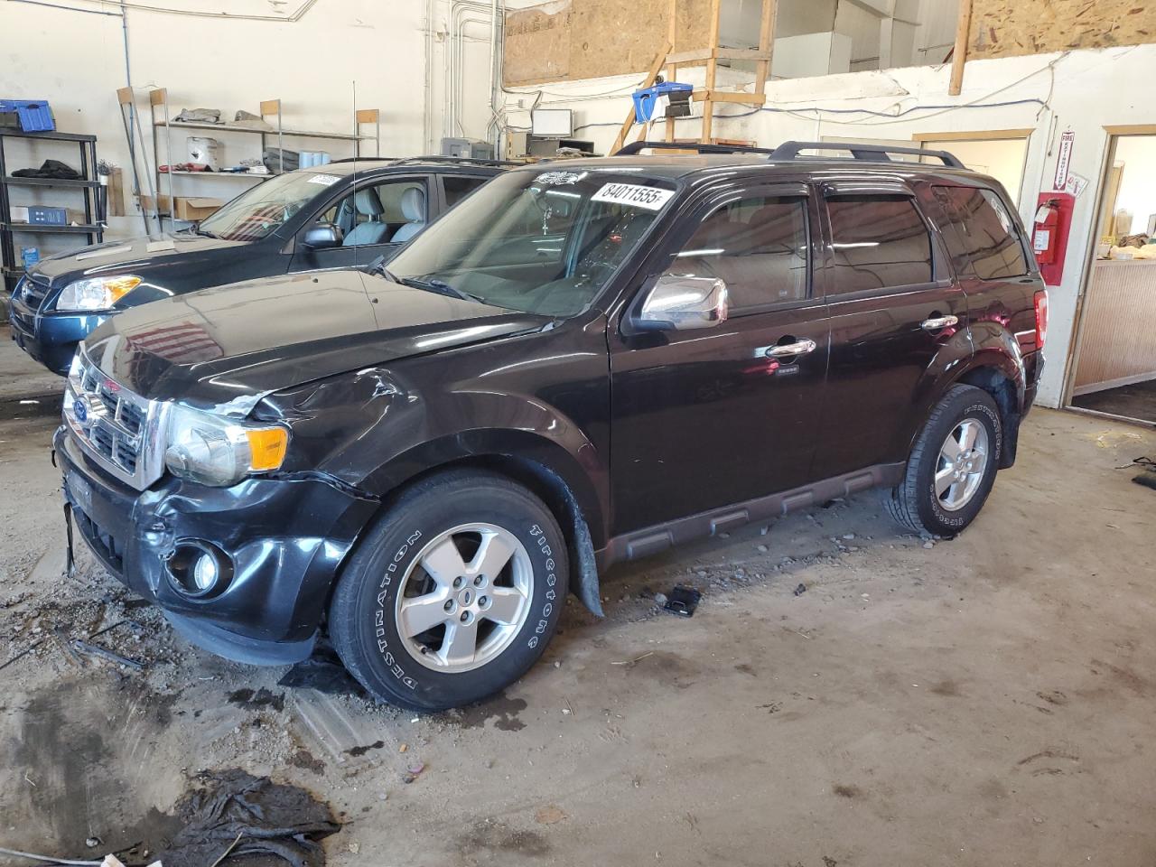 Lot #3274696801 2011 FORD ESCAPE XLT