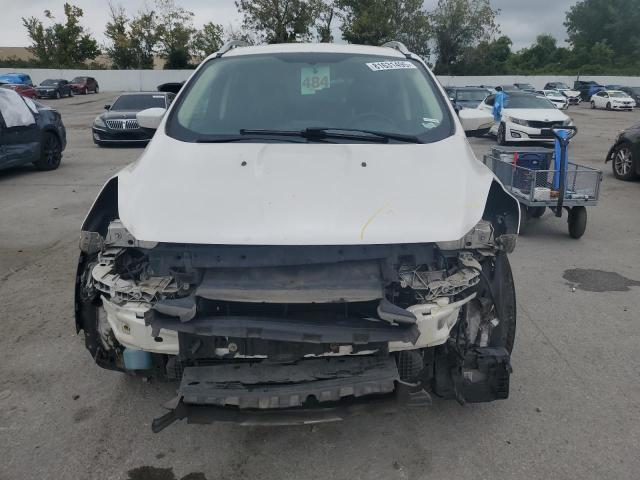 2014 FORD ESCAPE TIT - 1FMCU0J92EUD23962