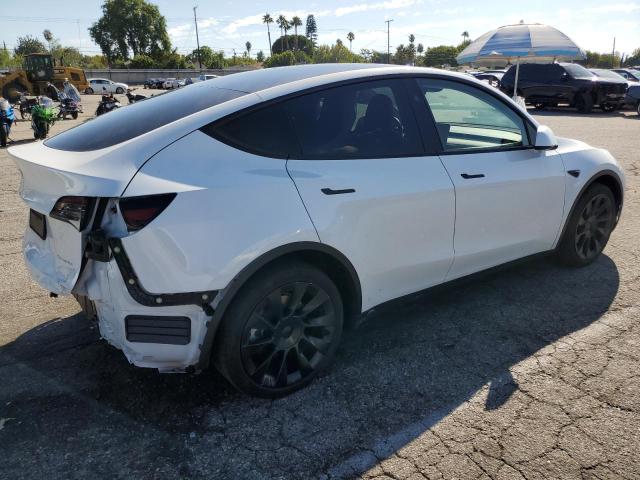 2024 TESLA MODEL Y 7SAYGDEE1RF064317