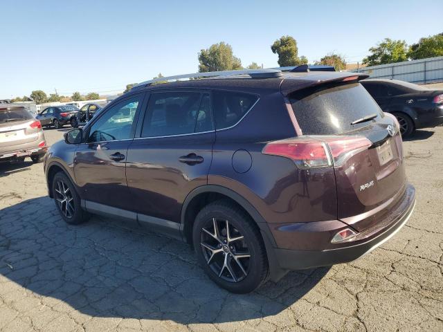 TOYOTA RAV4 SE 2016 purple  gas 2T3NFREV0GW237199 photo #3