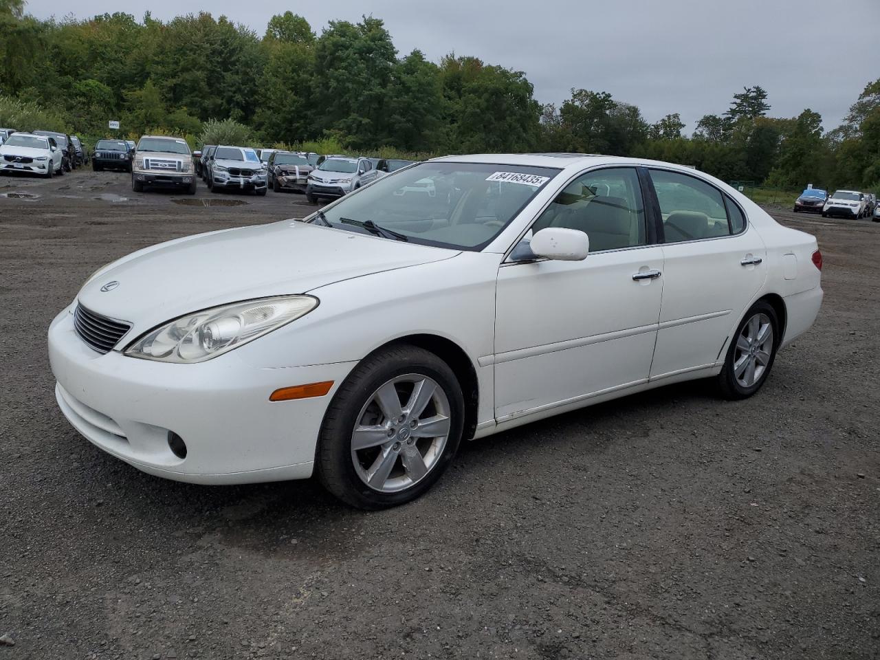 Lot #3246882504 2006 LEXUS ES 330