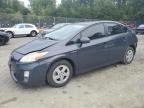 Top Destinations for Shipping Cars from the USA