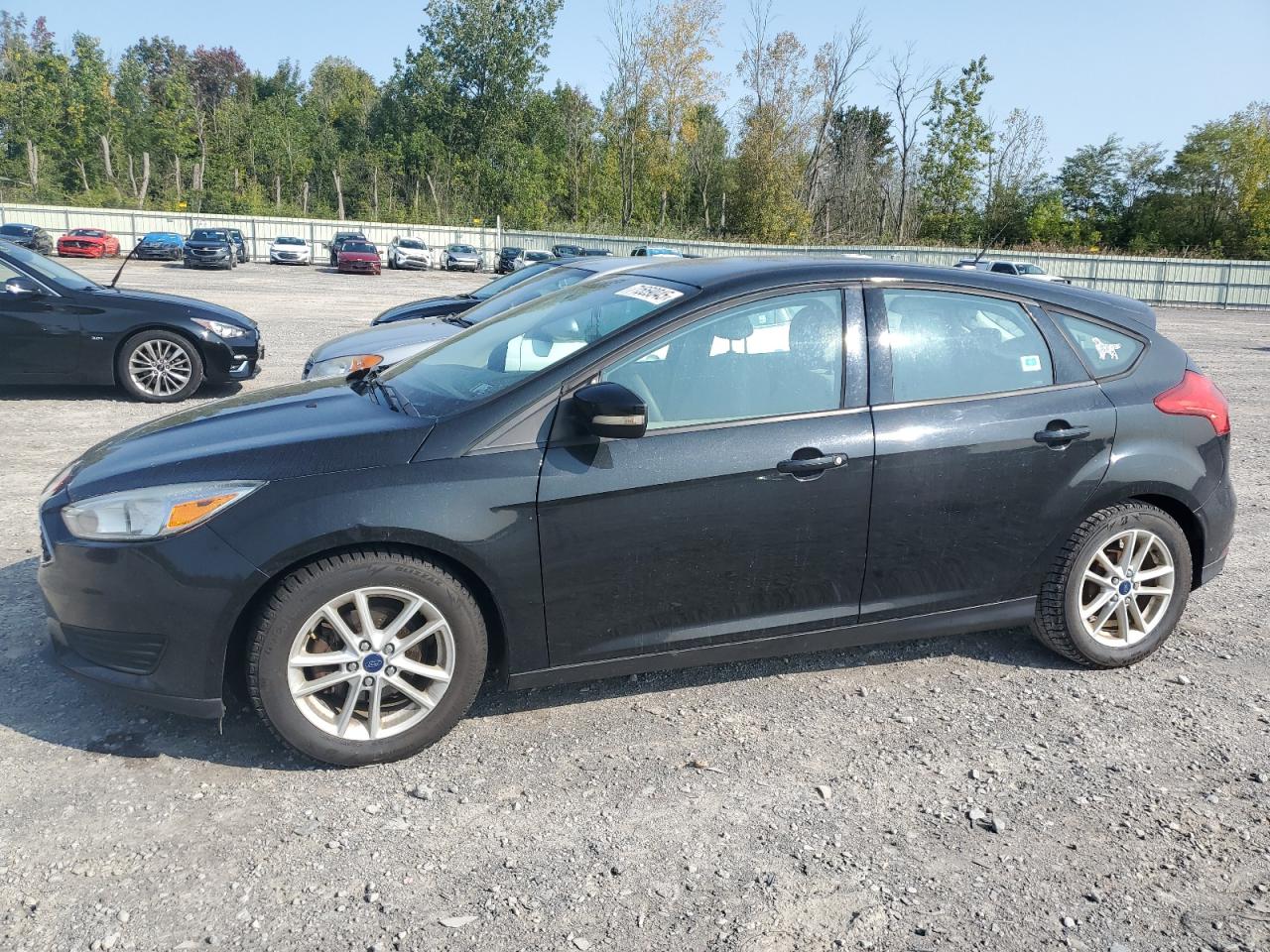 FORD FOCUS SE