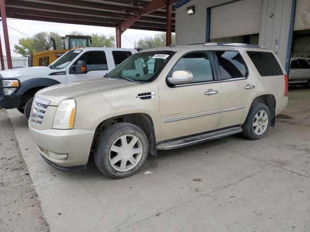 Global Auto Auctions: 2009 CADILLAC ESCALADE