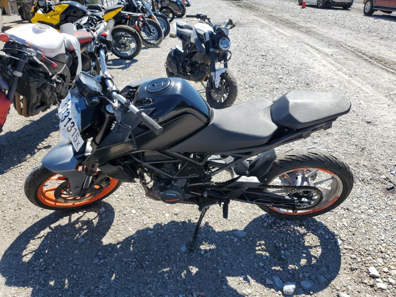 Global Auto Auctions