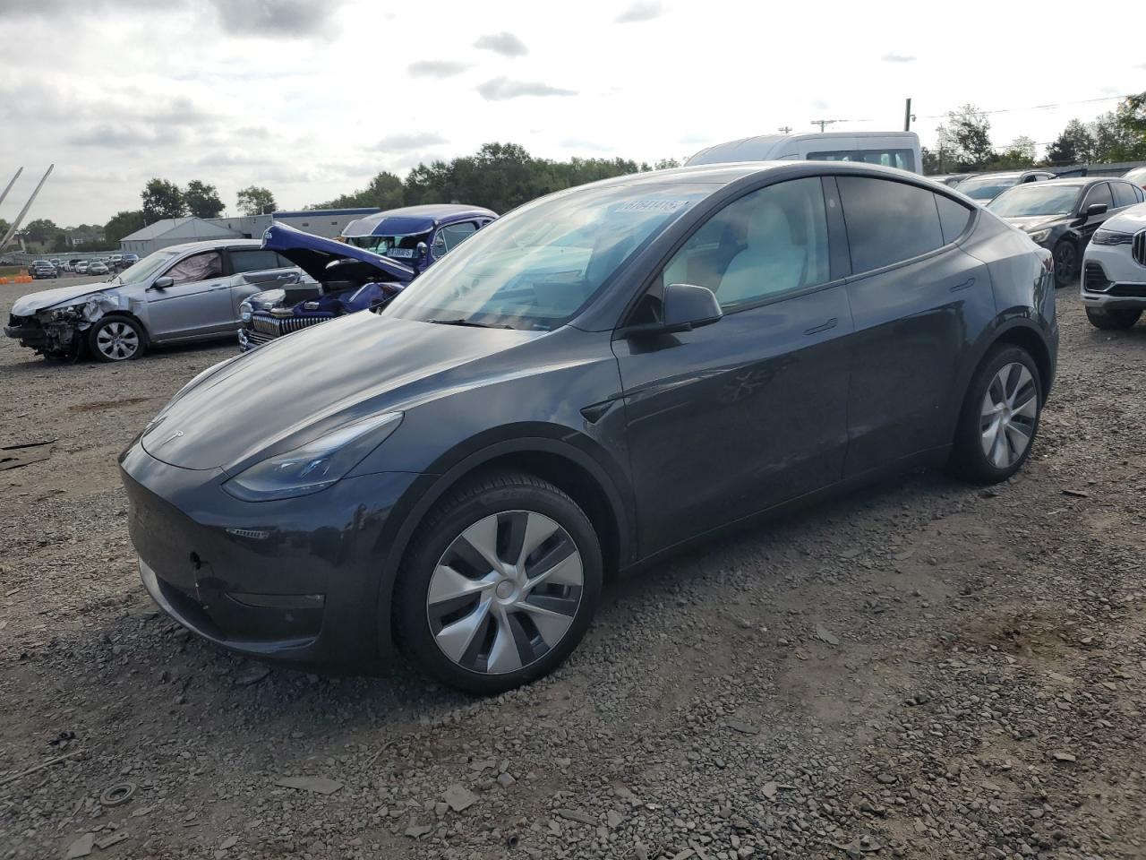 TESLA MODEL Y