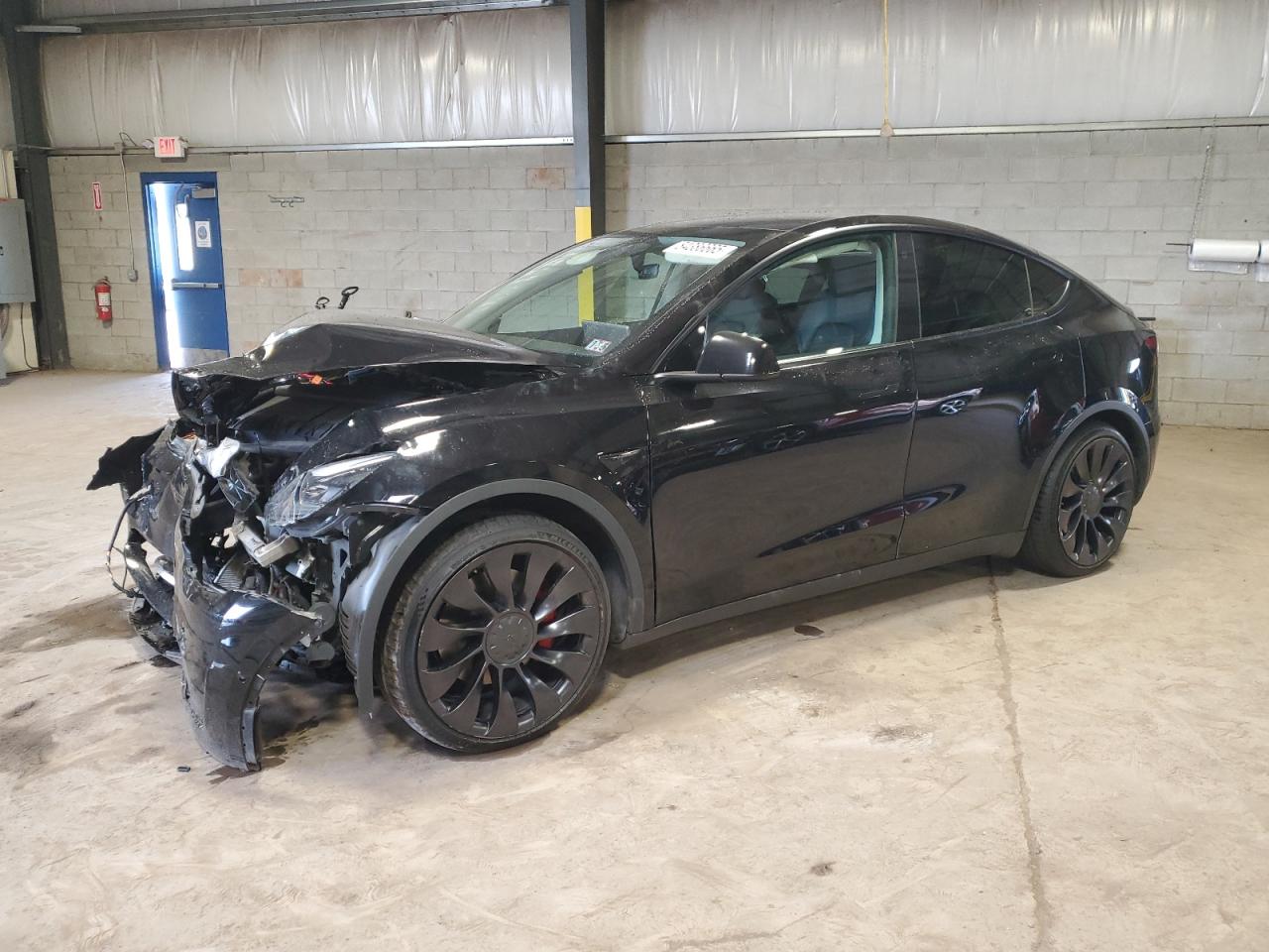 Lot #3301983425 2022 TESLA MODEL Y