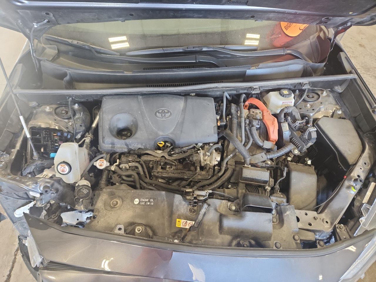 Lot #3309640056 2023 TOYOTA RAV4 LIMIT