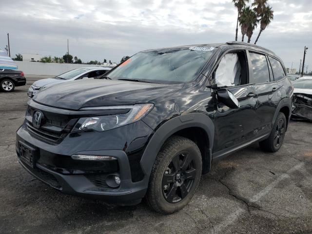 2022 HONDA PILOT TRAI 5FNYF6H80NB055832