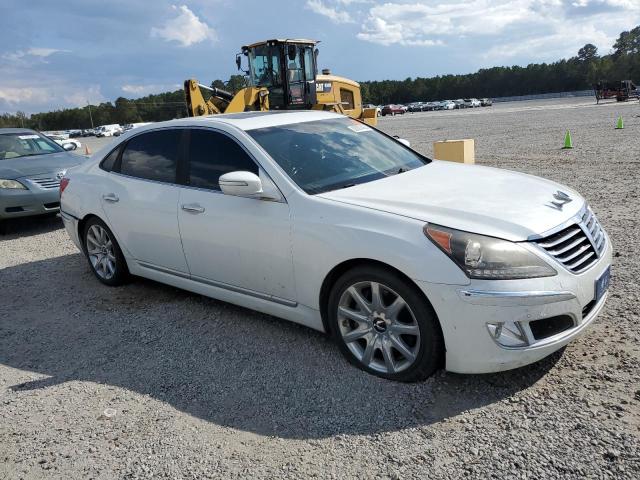 2013 HYUNDAI EQUUS SIGN - KMHGH4JH0DU069168